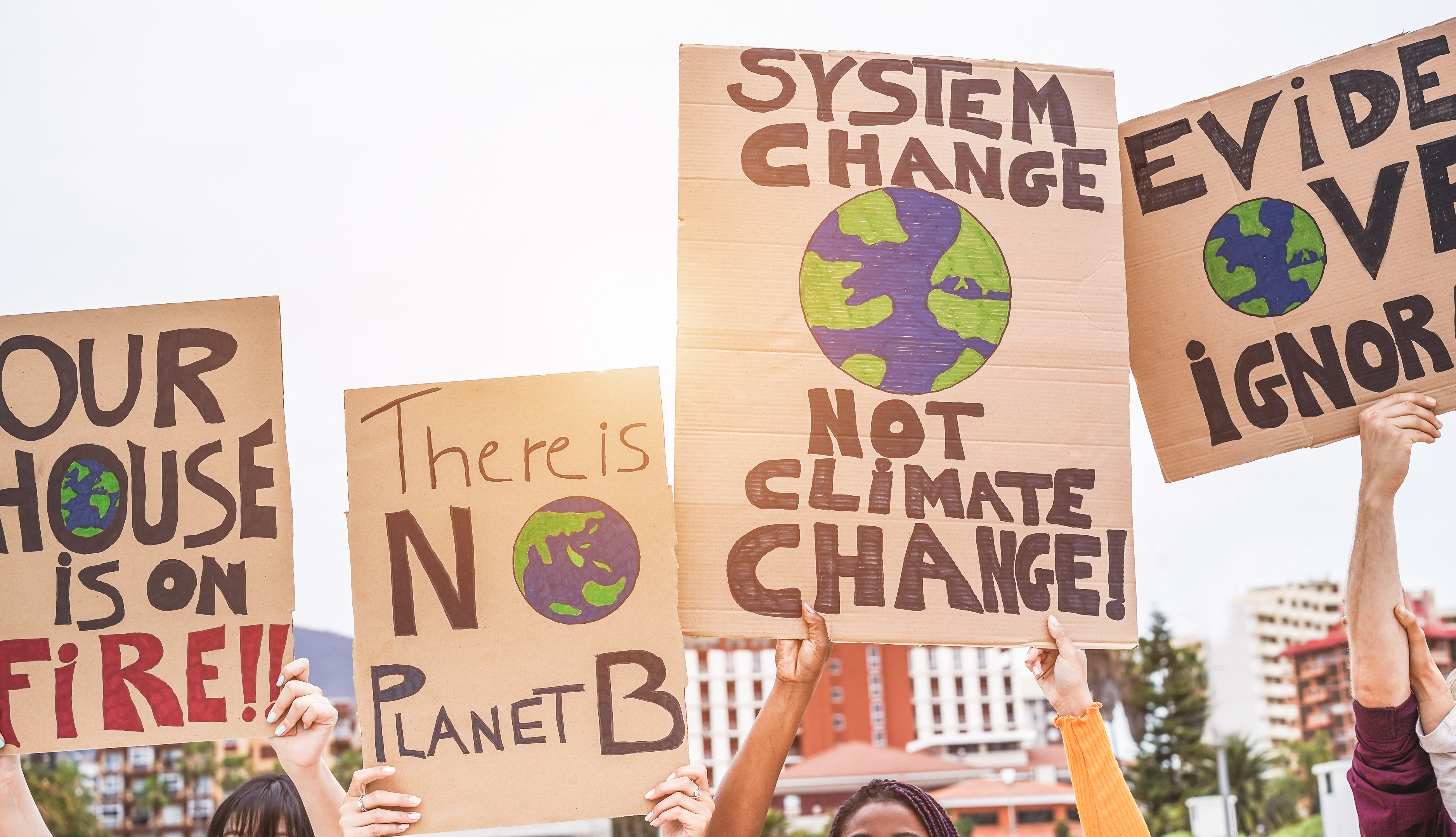 Sustainability Management – Unternehmen und die Klimakrise